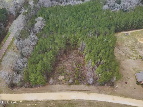Ava Ln Lot 1, Summit, MS 39666