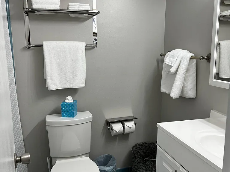 Hall bathroom