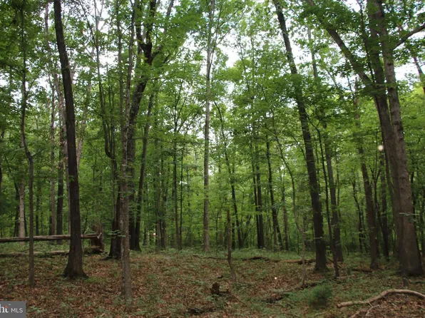 Habron Hollow Rd, Fort Valley, VA 22652
