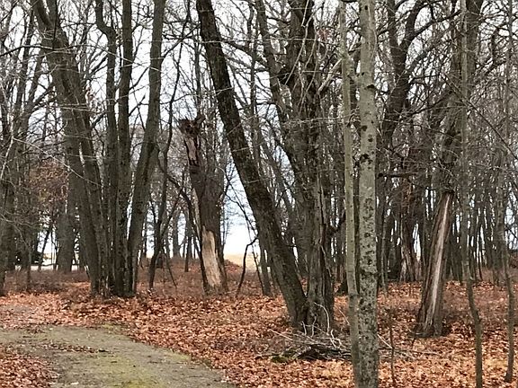2nd image of 3962 N Winters Dr