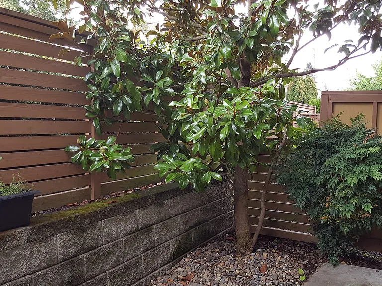 2106 Yakima Ct — Photo 15