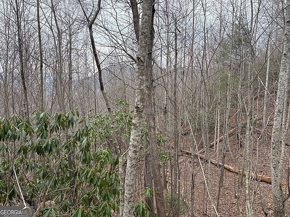 4th image of 0 Colchester Ln