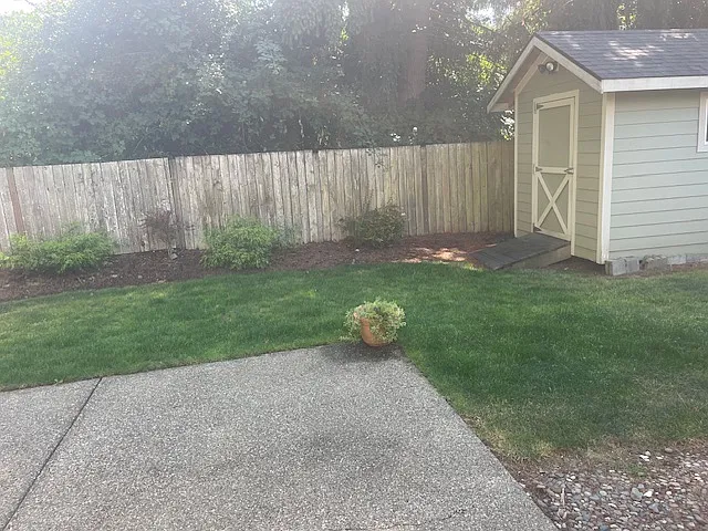 Fully fenced backyard with patio and storage shed with electrical power.