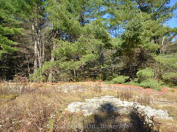 2nd image of 2 Parker Bay Rd