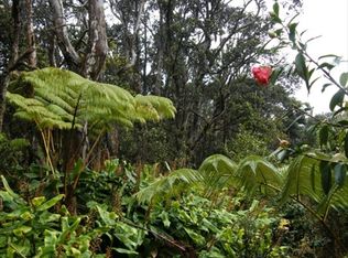Kilauea Road Private LOT E, Volcano, HI 96785