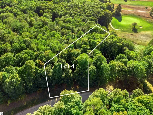 4 Heather Ridge Trl, Beulah, MI 49617