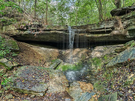 5th image of 23 Pack Road