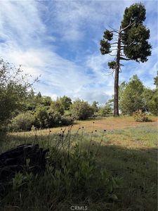 39 Manzanita Drive, Oakhurst, CA, 93644