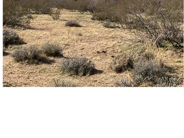 122-25 E Red Barrel Dr #20, Yucca, AZ 86438