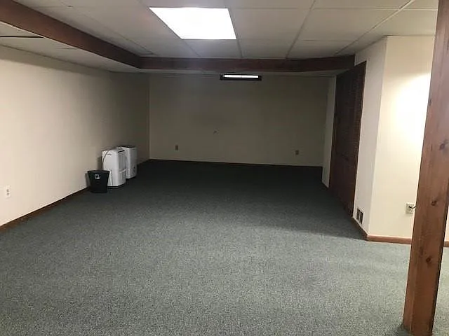 Carpeted, finished basement