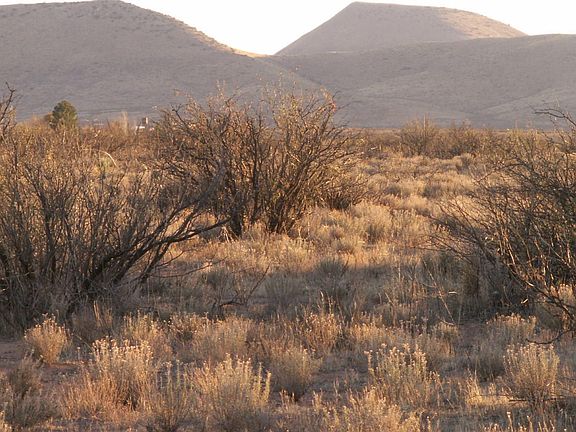 4th image of Highway 181 Acres #38.78-30