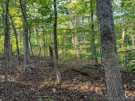 2nd image of Ranch Rd