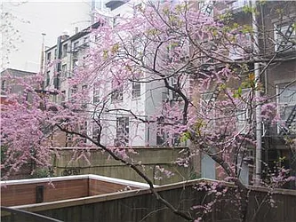 Rented by Heddings Property