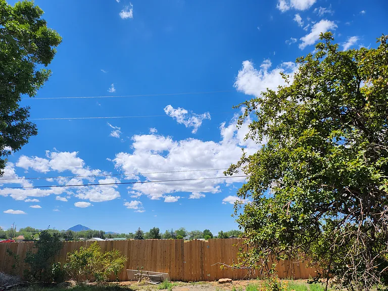 763 Birch Dr — Photo 14