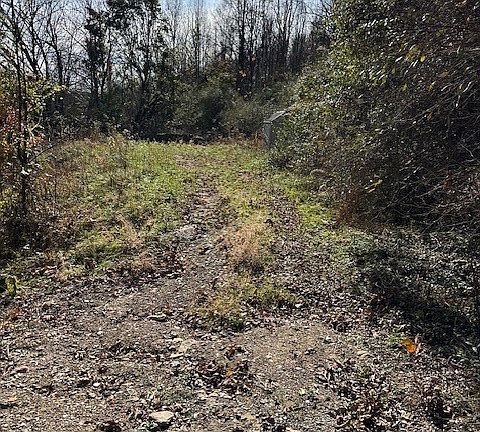 3rd image of 329 Plantation Rd