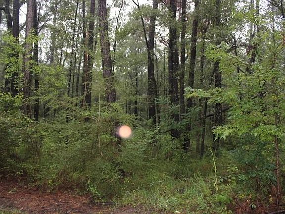 2nd image of 1B Horseshoe Rd