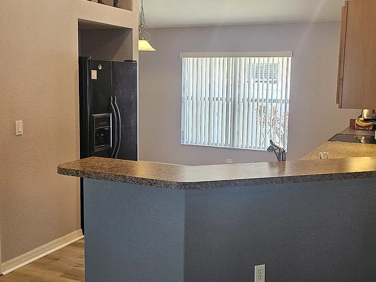 11110 Goldenrod Fern Dr — Photo 6
