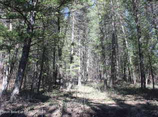 89 Fir Pl, Thayne, WY 83127