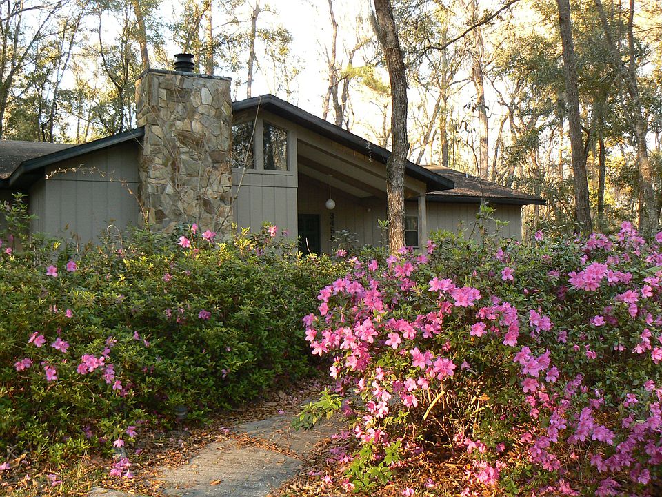 Beautiful azaleas