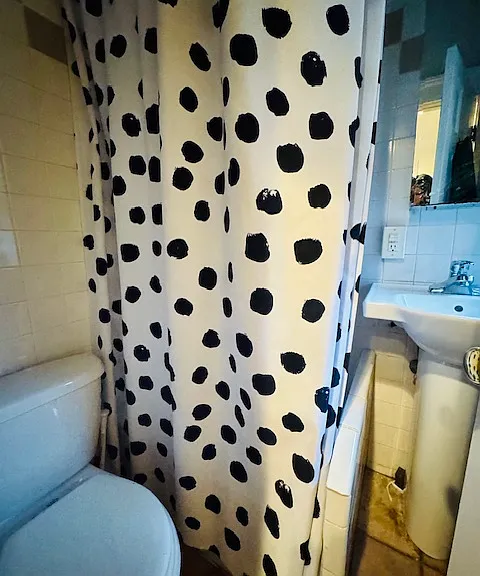3 Phillips St #10 — Photo 4