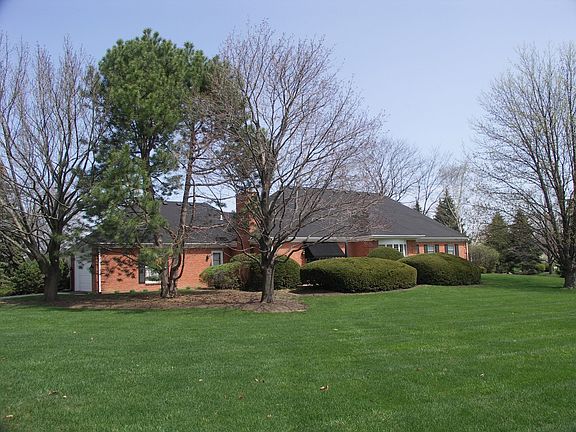 LOVELYBACK YARD VIEWS