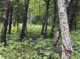 884 Forest Heights Rd, Knife River, MN 55609