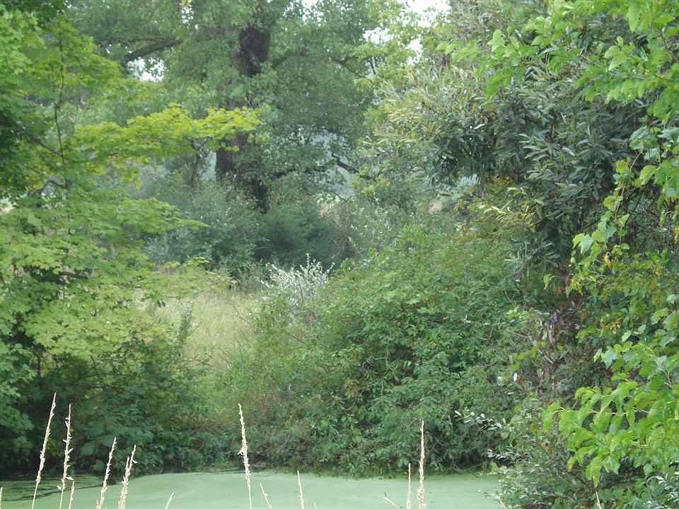 2nd image of 0 Keeler Rd #0