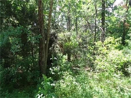 3rd image of 1523 County Road 263