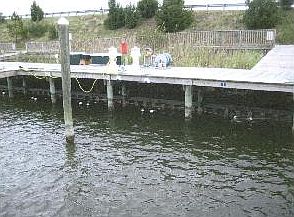 2nd image of 3 Sailfish Dr