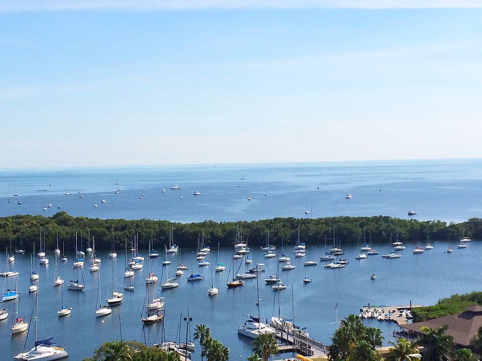 1st image of 2901 S Bayshore Dr APT 15F