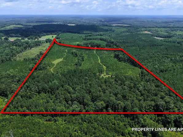 0 County Road 25, Banks, AL 36005