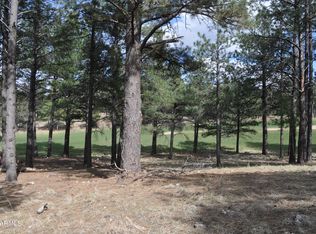 3925 S Clubhouse Cir LOT 309, Flagstaff, AZ 86005
