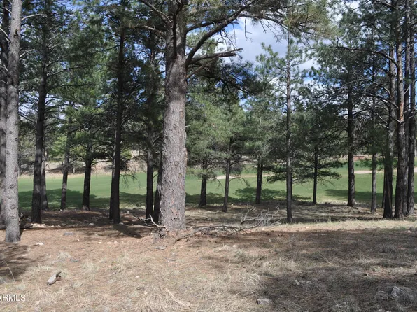 3925 S Clubhouse Circle #309, Flagstaff, AZ 86005