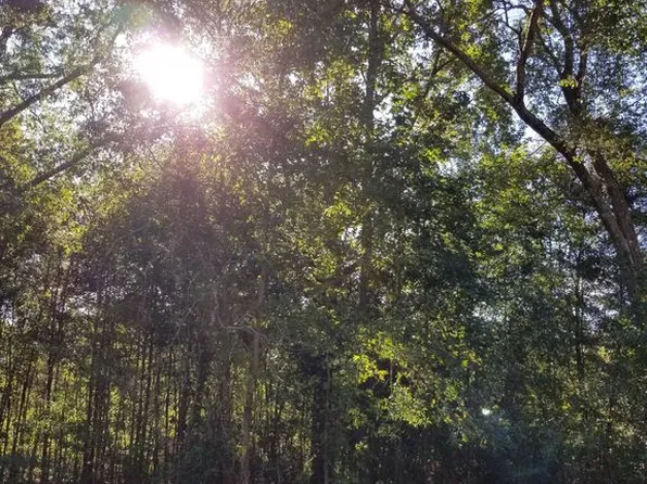 2318 Rolling Hills Rd, Columbia, SC 29210