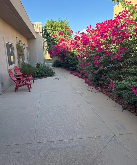 54 Pine Valley Dr — Photo 15
