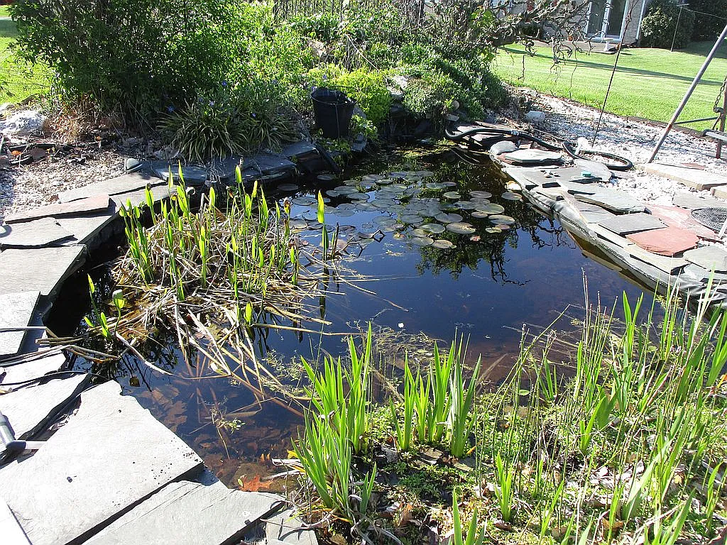 Property photo 5