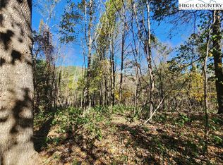 Tbd Doe Ridge Dr, West Jefferson, NC 28694