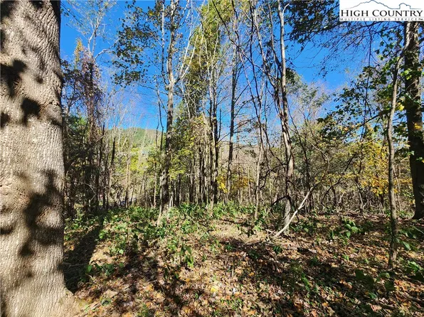 TBD Doe Ridge Drive, West Jefferson, NC 28694