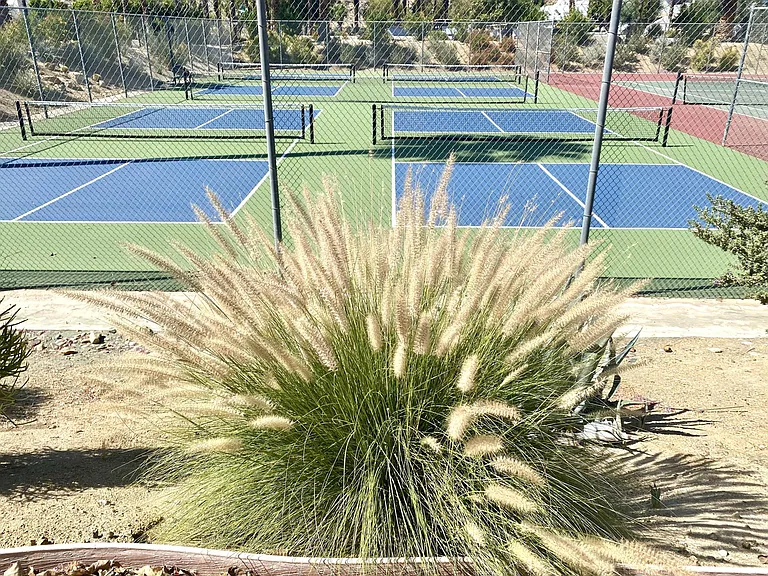 New pickleball courts