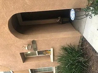 6181 Verda Ln — Photo 2