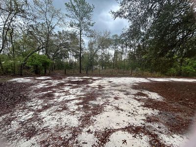 9211 Dorothy Rd, Tallahassee, FL, 32305