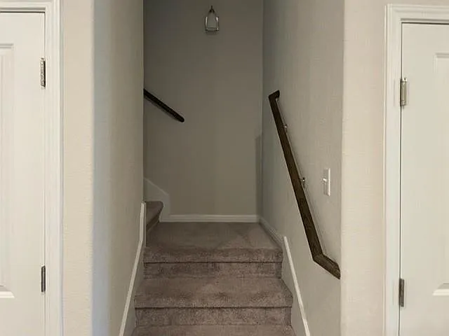 417 Bright Star Ln — Photo 22