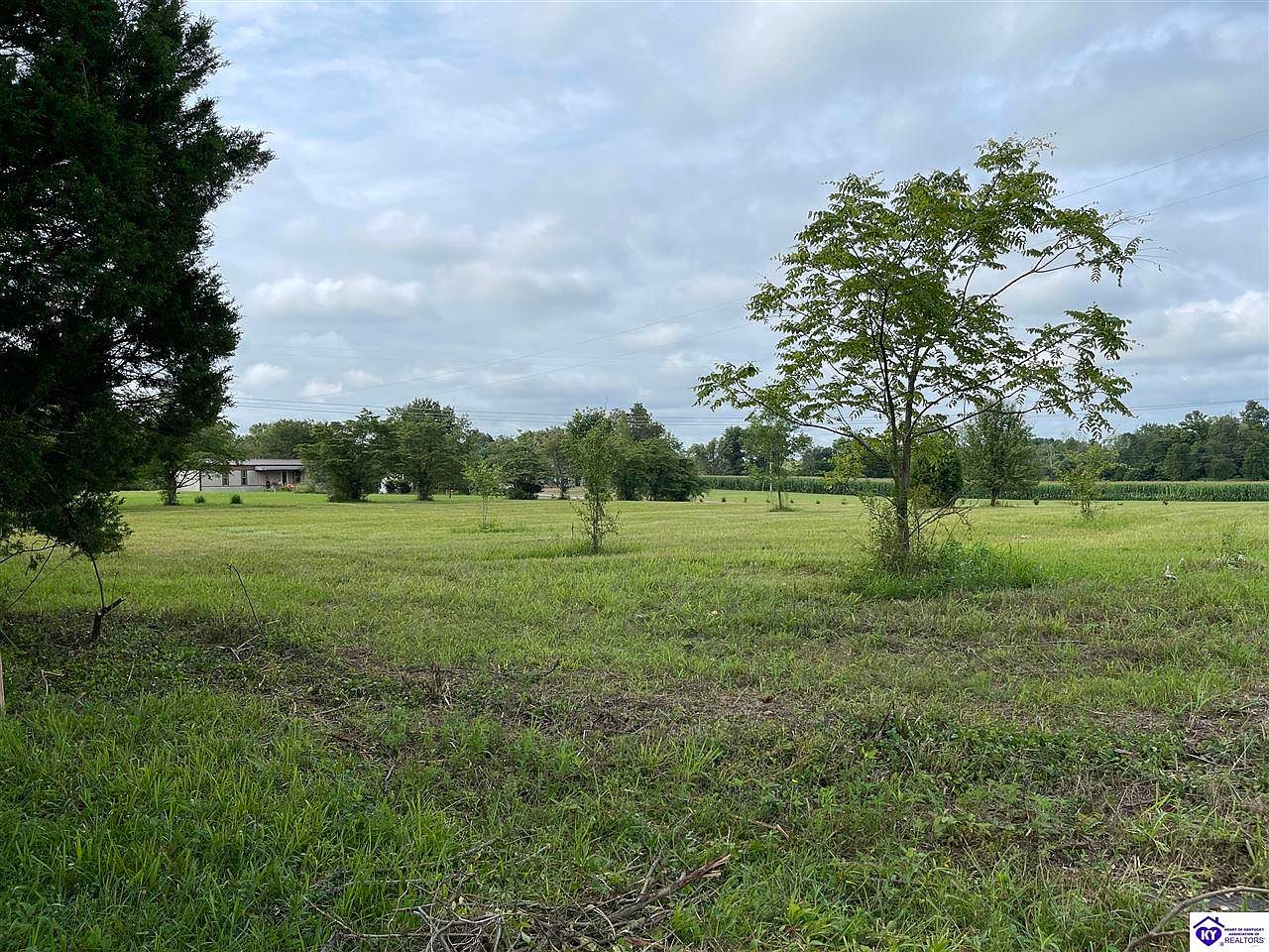 1540 S Black Branch Rd, Cecilia, KY 42724 MLS HK23002373 Zillow