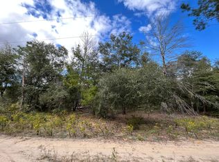 102 Morning Glory Ln, Interlachen, FL 32148