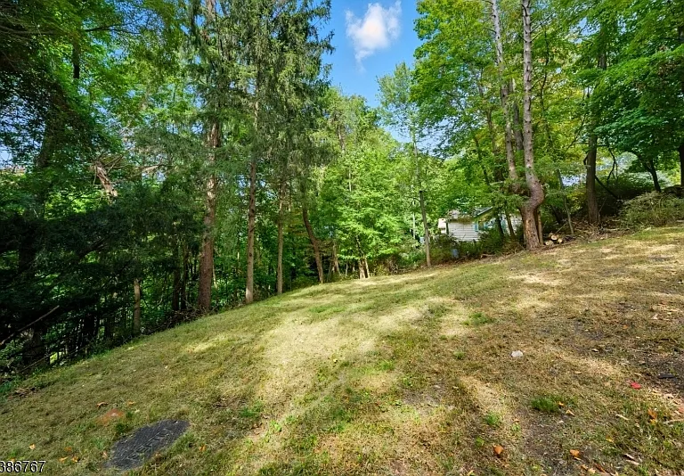 330 Springbrook Trl — Photo 29