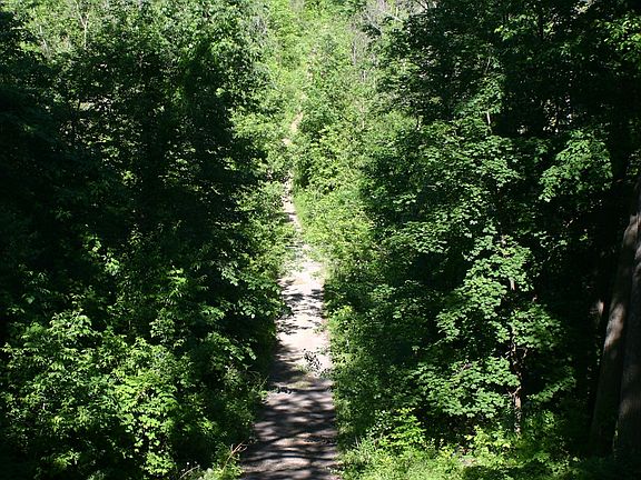 road to the lake from house