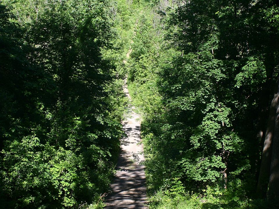 road to the lake from house