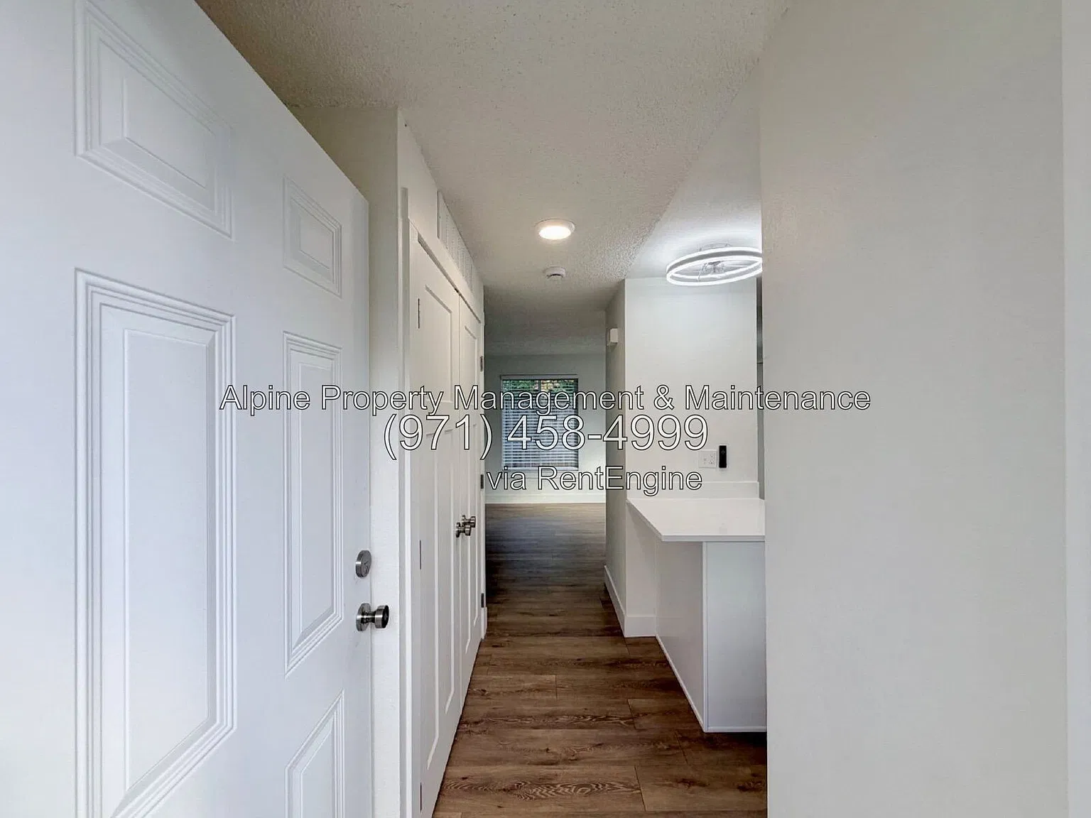 3 bed, 1.5 bath, 1150 sqft, $2,595 — Photo 3