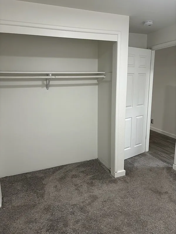1 bed, 250 sqft, $800 — Photo 4