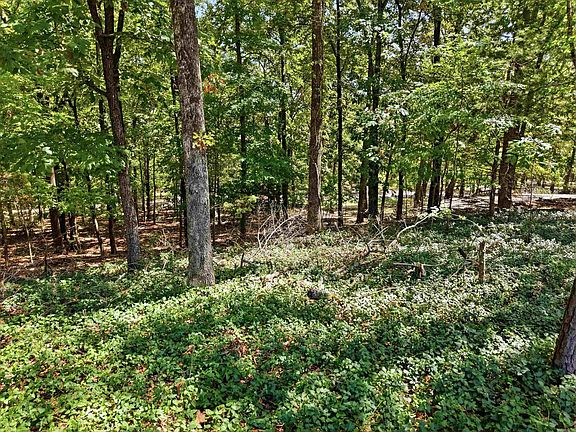 5th image of 835 Sugar Maple Dr
